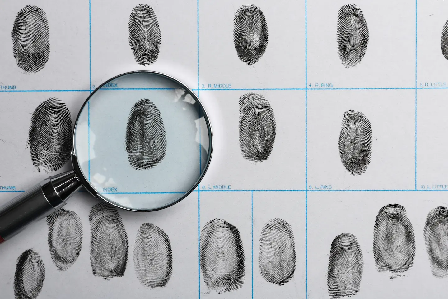 Fingerprint card with magnifying glass — professional fingerprinting service